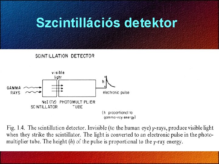 Szcintillációs detektor 