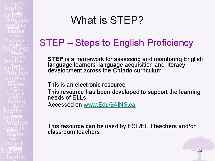 What is STEP? STEP – Steps to English Proficiency STEP is a framework for