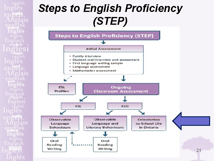Steps to English Proficiency (STEP) 21 