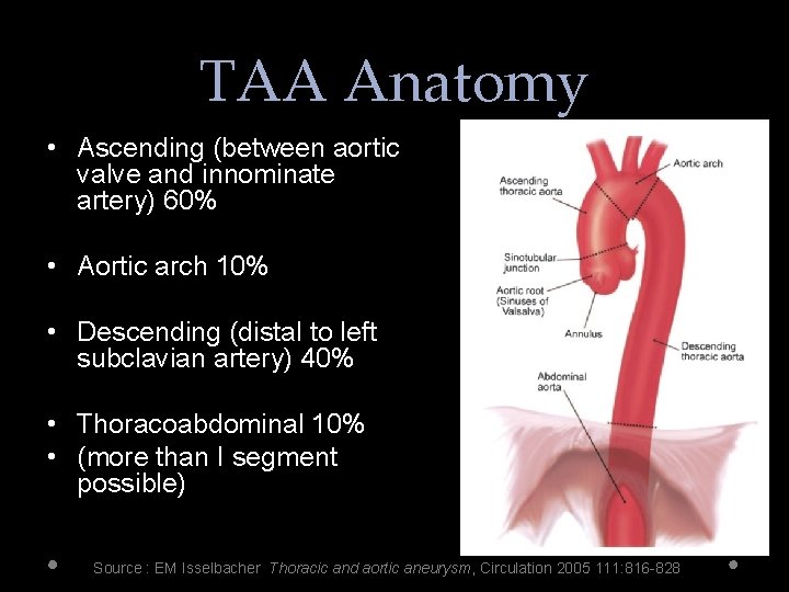 TAA Anatomy • Ascending (between aortic valve and innominate artery) 60% • Aortic arch