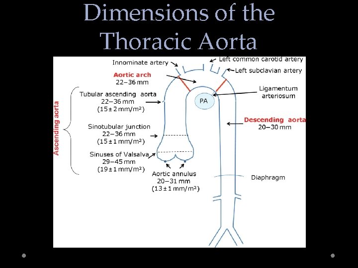 Dimensions of the Thoracic Aorta Evangelista A et al. Eur J Echocardiogr 2010; 11: