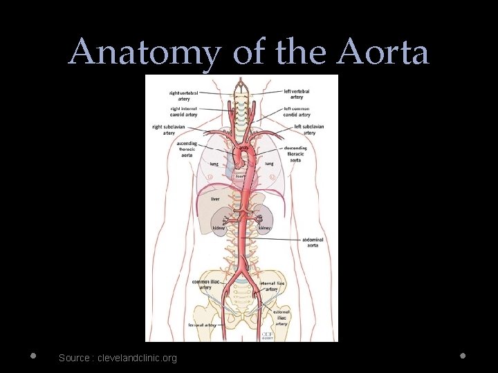 Anatomy of the Aorta Source : clevelandclinic. org 