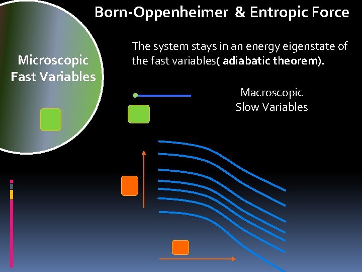 Born-Oppenheimer & Entropic Force Microscopic Fast Variables The system stays in an energy eigenstate