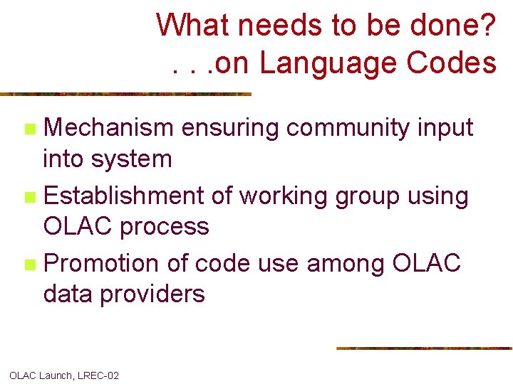 What needs to be done? . . . on Language Codes Mechanism ensuring community