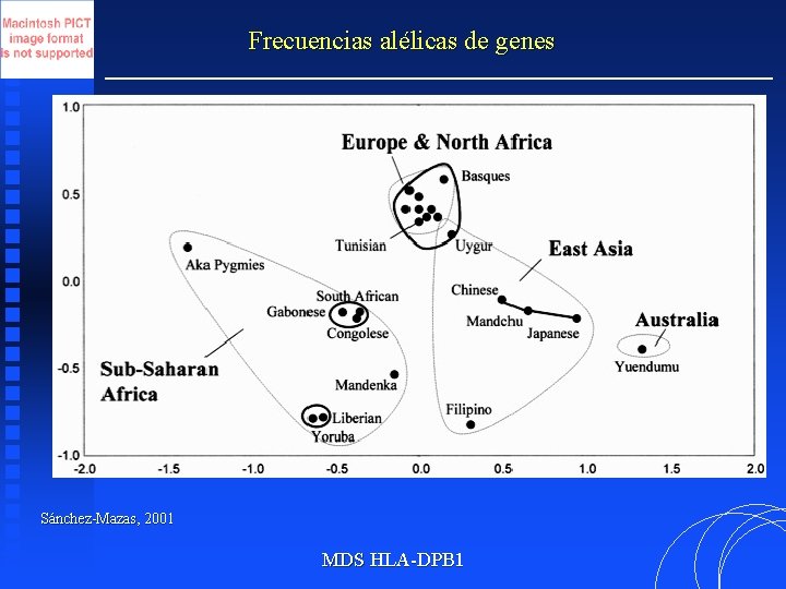 Frecuencias alélicas de genes Sánchez-Mazas, 2001 MDS HLA-DPB 1 