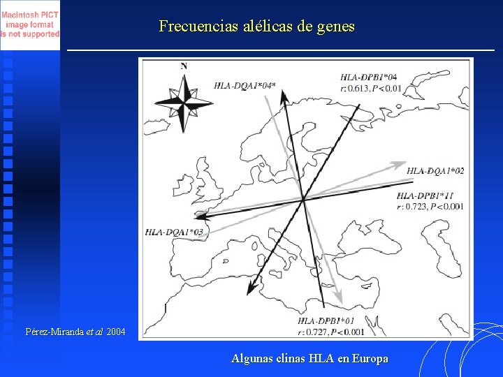 Frecuencias alélicas de genes Pérez-Miranda et al 2004 Algunas clinas HLA en Europa 