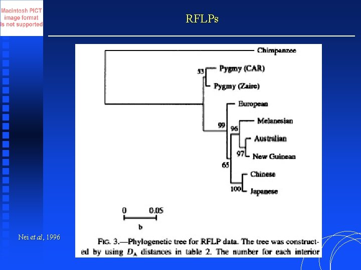 RFLPs Nei et al, 1996 