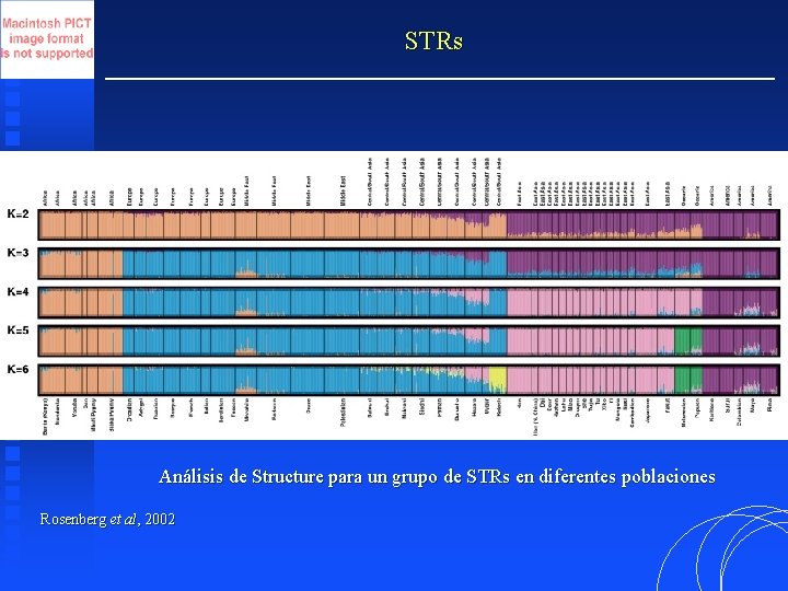 STRs Análisis de Structure para un grupo de STRs en diferentes poblaciones Rosenberg et