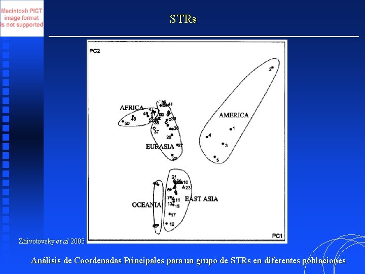 STRs Zhivotovsky et al 2003 Análisis de Coordenadas Principales para un grupo de STRs