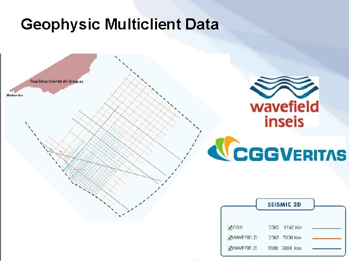 Geophysic Multiclient Data Pozos exploratorios 