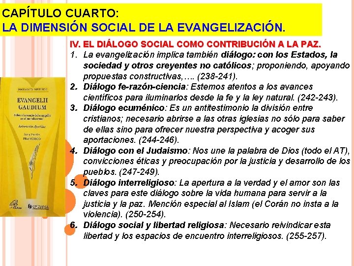 CAPÍTULO CUARTO: LA DIMENSIÓN SOCIAL DE LA EVANGELIZACIÓN. IV. EL DIÁLOGO SOCIAL COMO CONTRIBUCIÓN