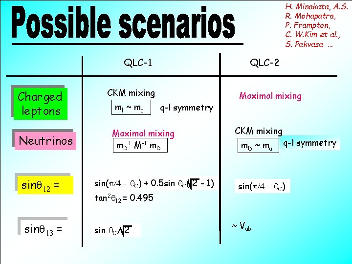 H. Minakata, A. S. R. Mohapatra, P. Frampton, C. W. Kim et al. ,