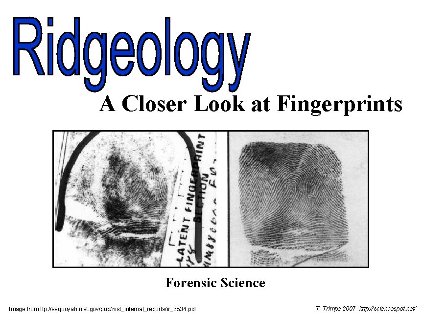 A Closer Look at Fingerprints Forensic Science Image from ftp: //sequoyah. nist. gov/pub/nist_internal_reports/ir_6534. pdf