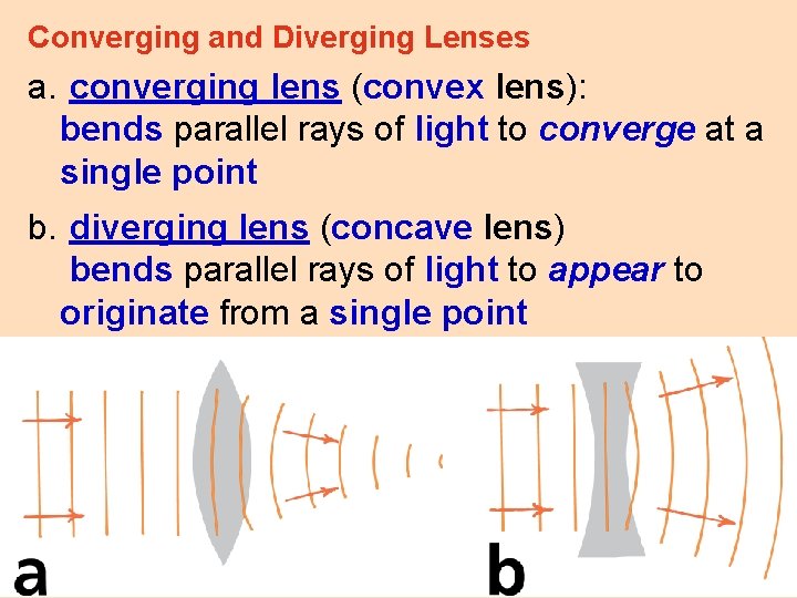 Converging and Diverging Lenses a. converging lens (convex lens): bends parallel rays of light