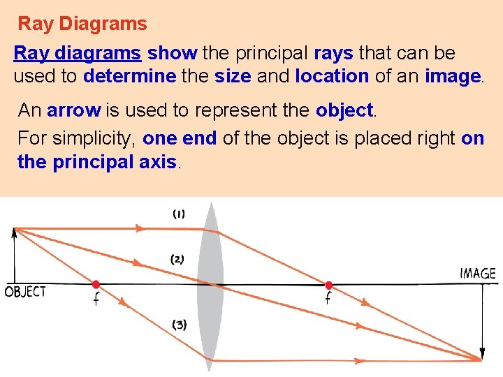 Ray Diagrams Ray diagrams show the principal rays that can be used to determine