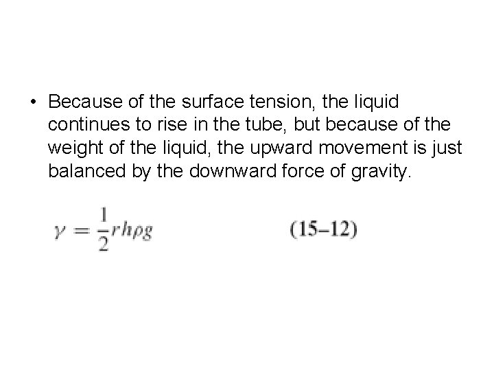 • Because of the surface tension, the liquid continues to rise in the • Because of the surface tension, the liquid continues to rise in the