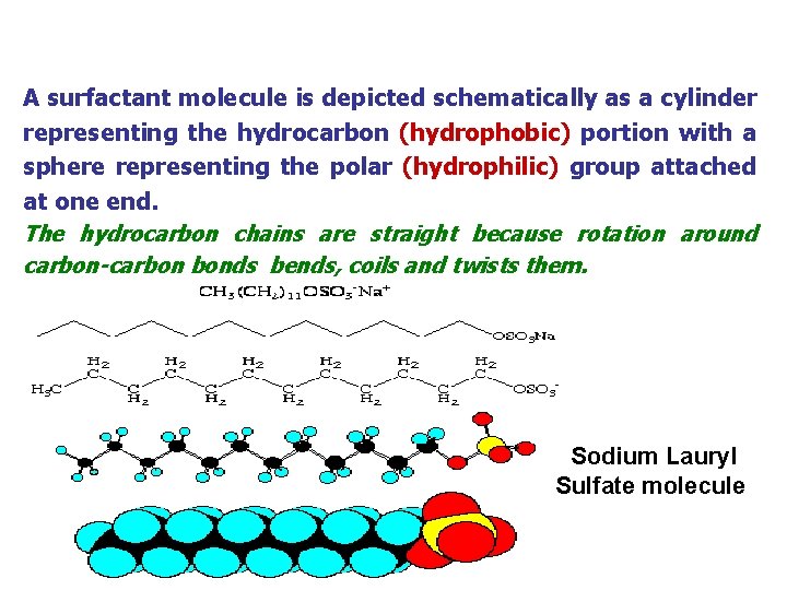 A surfactant molecule is depicted schematically as a cylinder representing the hydrocarbon (hydrophobic) portion A surfactant molecule is depicted schematically as a cylinder representing the hydrocarbon (hydrophobic) portion