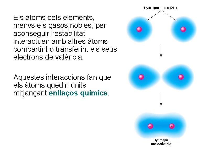 Hydrogen atoms (2 H) Els àtoms dels elements, menys els gasos nobles, per aconseguir Hydrogen atoms (2 H) Els àtoms dels elements, menys els gasos nobles, per aconseguir