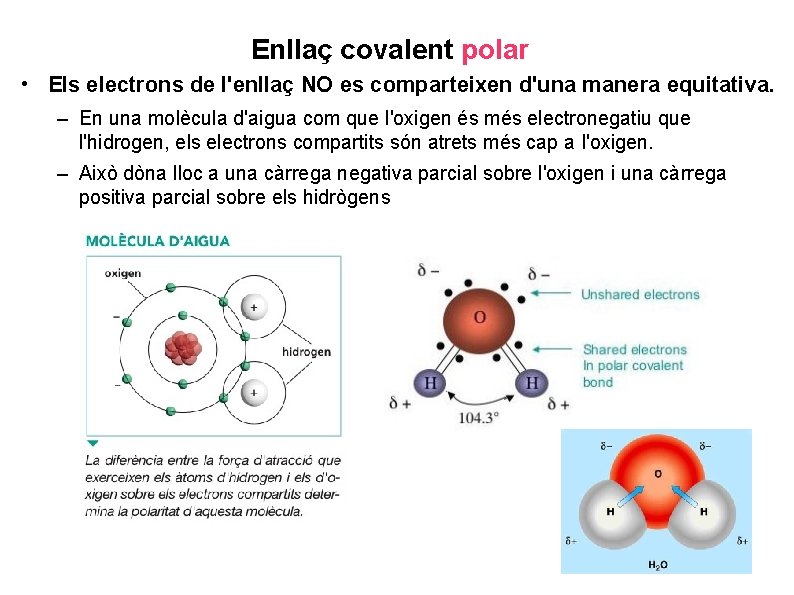 Enllaç covalent polar • Els electrons de l'enllaç NO es comparteixen d'una manera equitativa. Enllaç covalent polar • Els electrons de l'enllaç NO es comparteixen d'una manera equitativa.