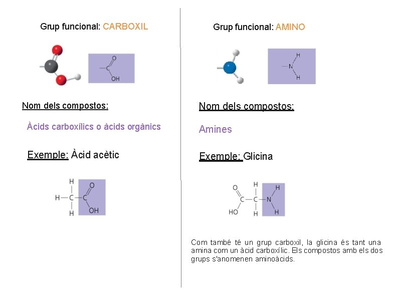 Grup funcional: CARBOXIL Nom dels compostos: Grup funcional: AMINO Nom dels compostos: Àcids carboxílics Grup funcional: CARBOXIL Nom dels compostos: Grup funcional: AMINO Nom dels compostos: Àcids carboxílics