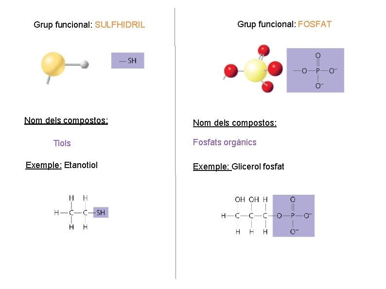 Grup funcional: SULFHIDRIL Nom dels compostos: Tiols Exemple: Etanotiol Grup funcional: FOSFAT Nom dels Grup funcional: SULFHIDRIL Nom dels compostos: Tiols Exemple: Etanotiol Grup funcional: FOSFAT Nom dels