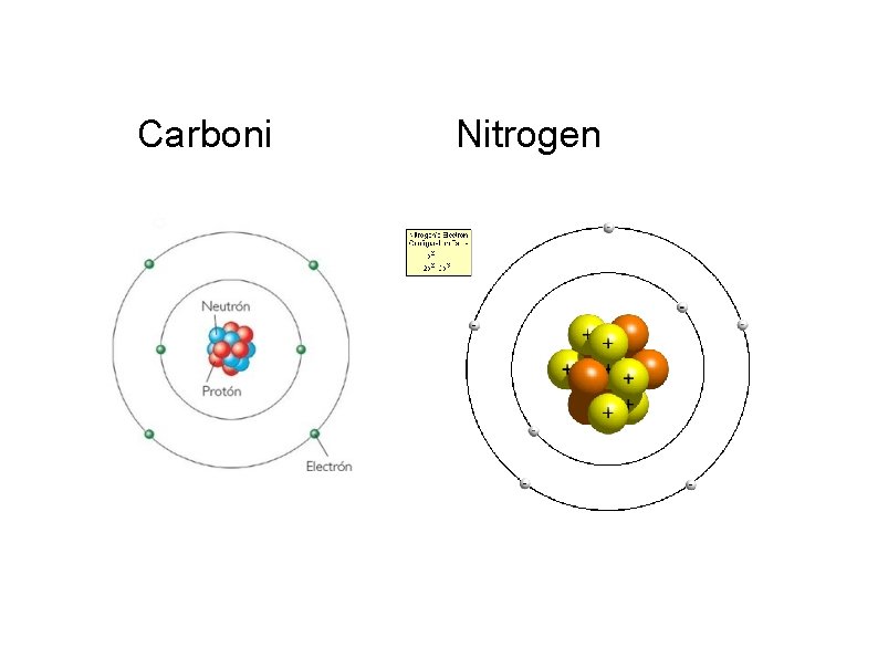 Carboni Nitrogen Carboni Nitrogen
