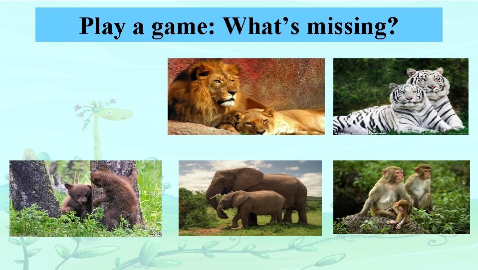 Play a game: What’s missing? 