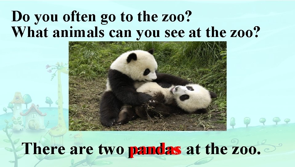 Do you often go to the zoo? What animals can you see at the