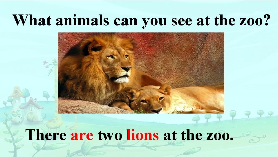 What animals can you see at the zoo? There are two lions at the