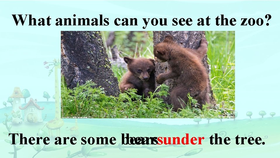 What animals can you see at the zoo? There are some bearsunder the tree.