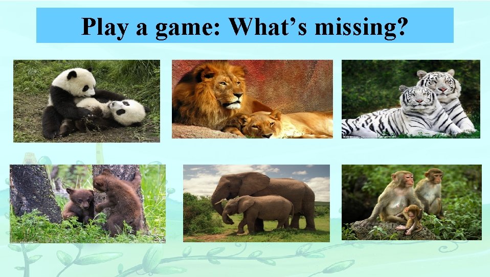 Play a game: What’s missing? 