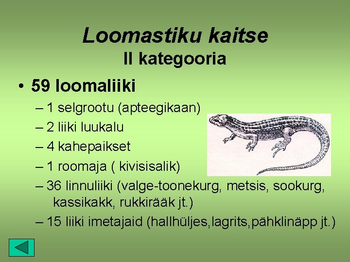 Loomastiku kaitse II kategooria • 59 loomaliiki – 1 selgrootu (apteegikaan) – 2 liiki