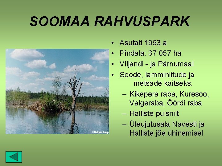 SOOMAA RAHVUSPARK • • Asutati 1993. a Pindala: 37 057 ha Viljandi - ja