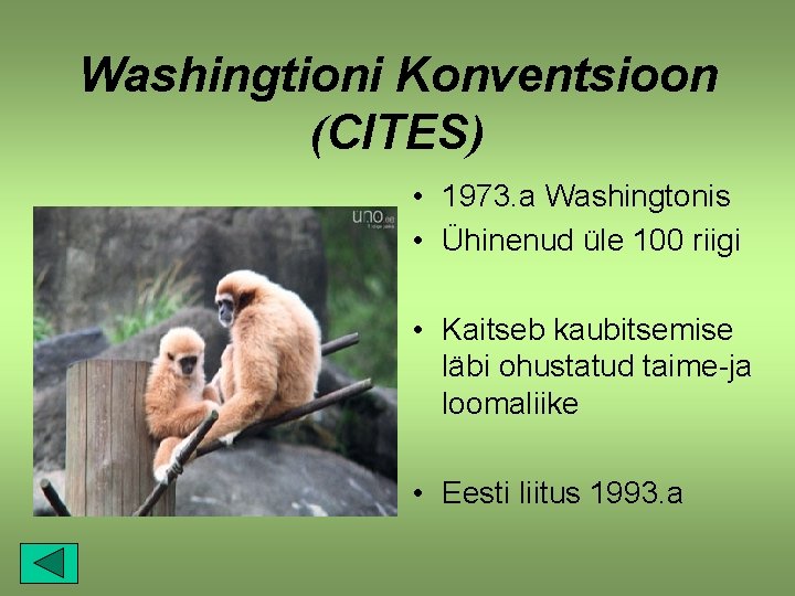 Washingtioni Konventsioon (CITES) • 1973. a Washingtonis • Ühinenud üle 100 riigi • Kaitseb