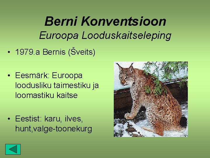 Berni Konventsioon Euroopa Looduskaitseleping • 1979. a Bernis (Šveits) • Eesmärk: Euroopa loodusliku taimestiku