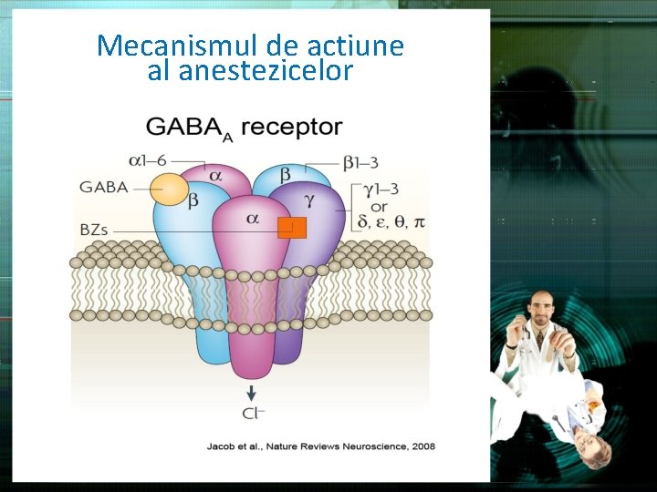 Mecanismul de actiune al anestezicelor 