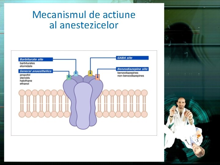 Mecanismul de actiune al anestezicelor 