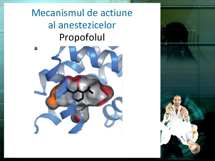 Mecanismul de actiune al anestezicelor Propofolul 