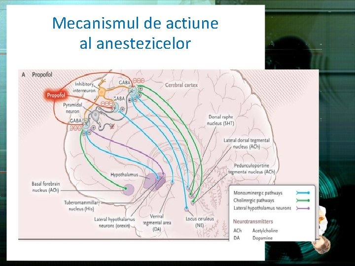 Mecanismul de actiune al anestezicelor 