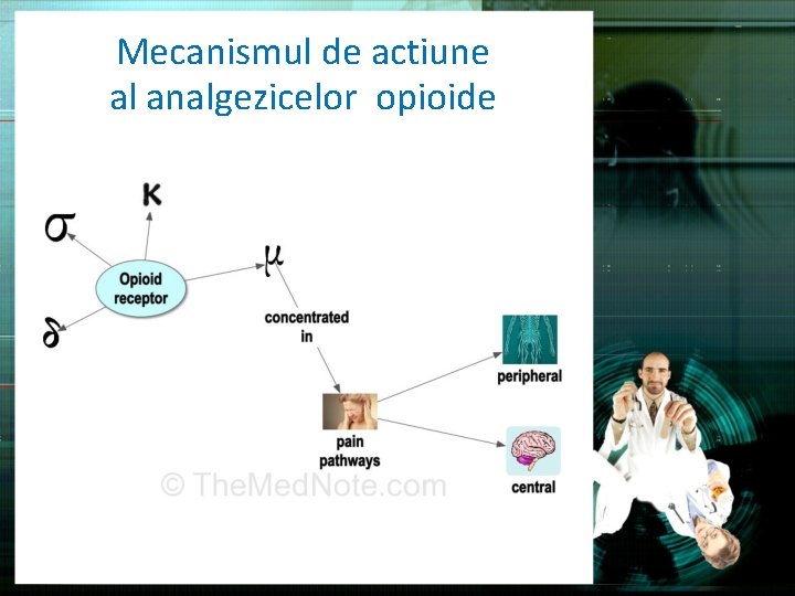 Mecanismul de actiune al analgezicelor opioide 