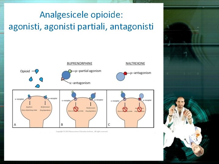 Analgesicele opioide: agonisti, agonisti partiali, antagonisti 