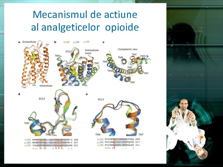 Mecanismul de actiune al analgeticelor opioide 