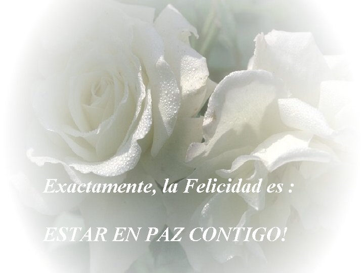 Exactamente, la Felicidad es : ESTAR EN PAZ CONTIGO! 