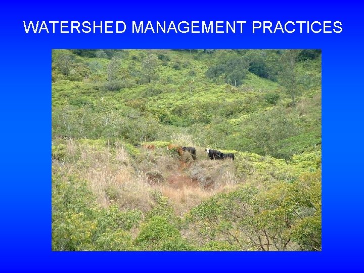 WATERSHED MANAGEMENT PRACTICES 