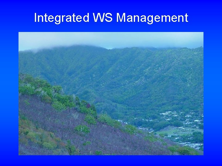 Integrated WS Management 