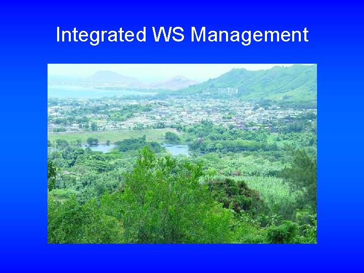 Integrated WS Management 