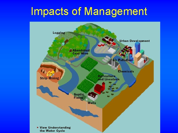 Impacts of Management 