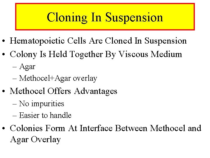 Cloning In Suspension • Hematopoietic Cells Are Cloned In Suspension • Colony Is Held