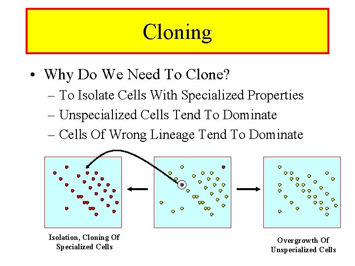 Cloning • Why Do We Need To Clone? – To Isolate Cells With Specialized