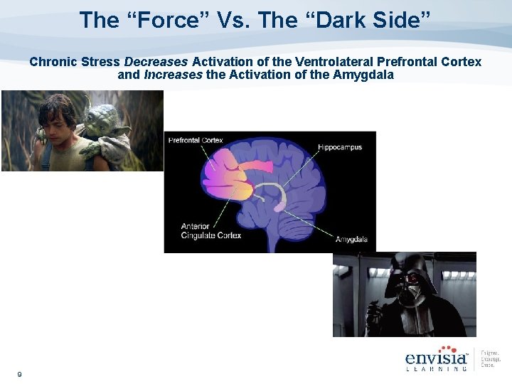 The “Force” Vs. The “Dark Side” Chronic Stress Decreases Activation of the Ventrolateral Prefrontal